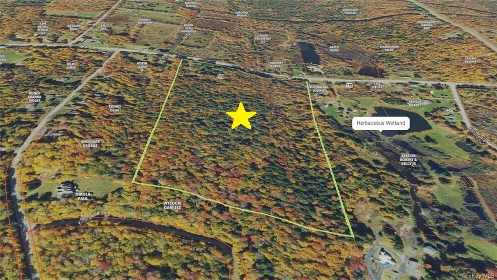 1195 State Route 17B, Bethel, NY for sale - Plat Map - Image 2 of 38