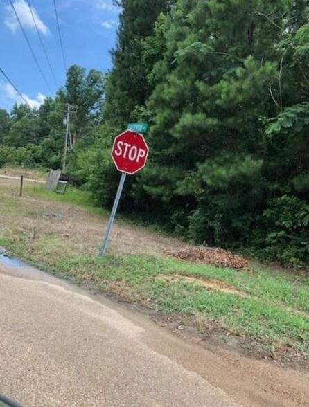 106 Ed Spann Rd, Brandon, MS à vendre - Photo principale - Image 1 de 1