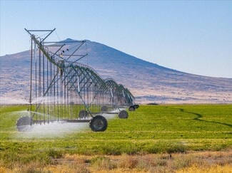 Plus de détails pour 650 Tuledad Rd, Ravendale, CA - Terrain à vendre