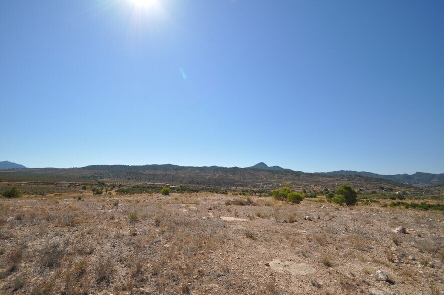 Terrain dans Abanilla, Murcia à vendre - Photo principale - Image 2 de 14