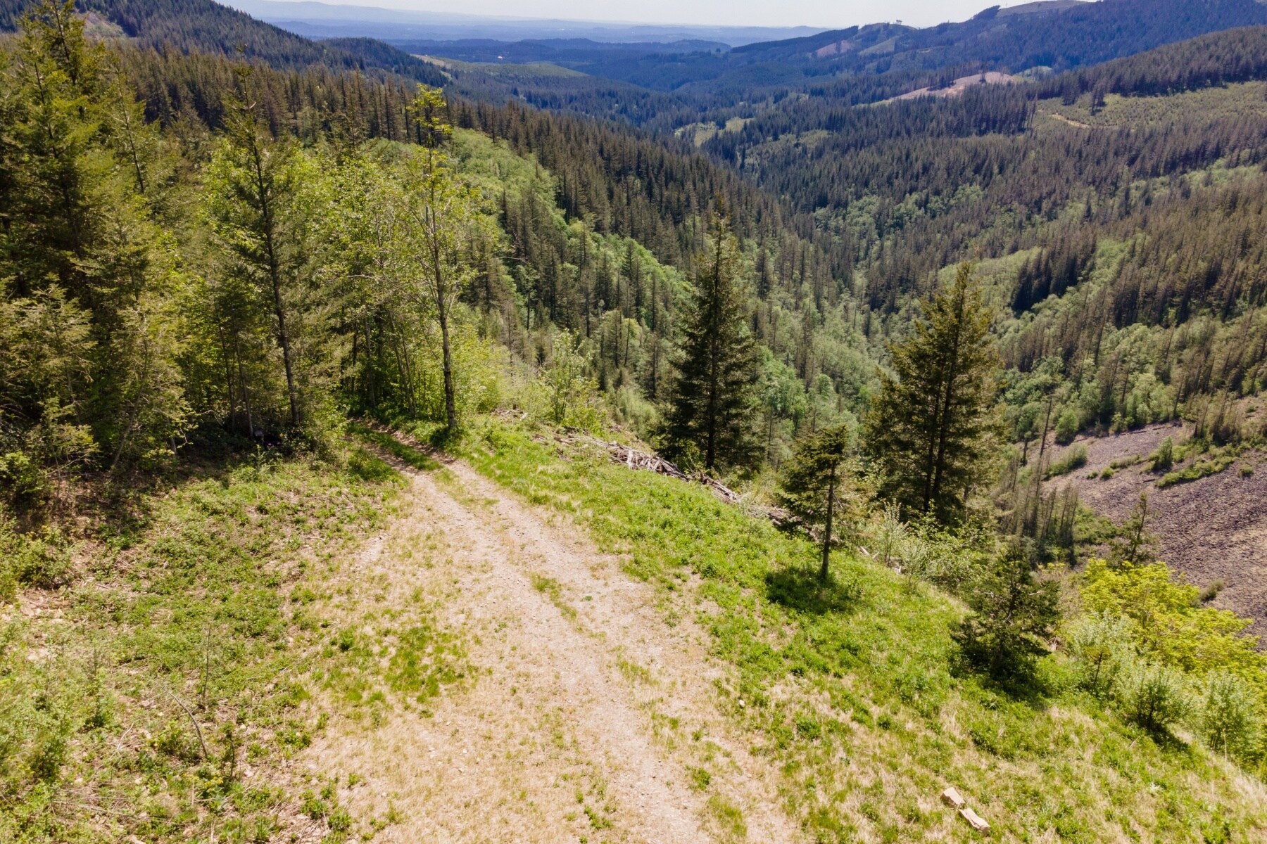 0 Snag Mountain Road, Washougal, WA à vendre Photo principale- Image 1 de 1