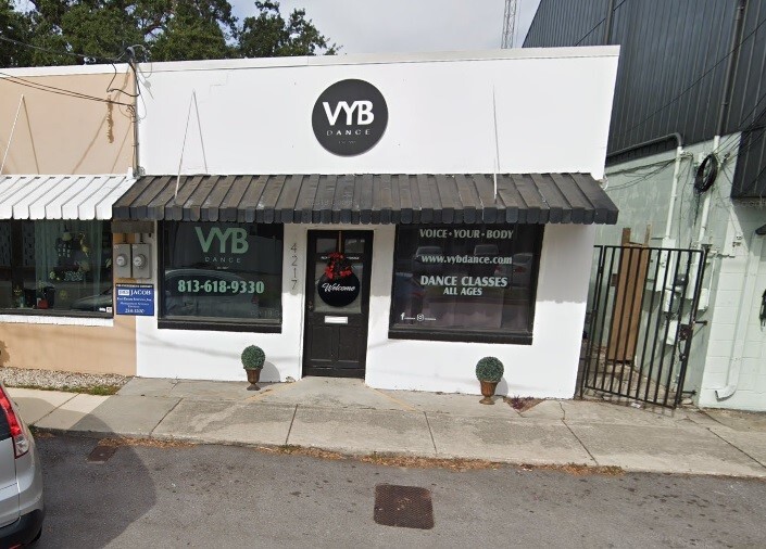 4217-4219 W Bay To Bay Blvd, Tampa, FL for sale - Primary Photo - Image 1 of 7