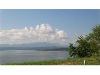 Plus de détails pour $39,900 Foreclosed Lakefront Development Lot w/Cov, Baneberry, TN - Terrain à vendre