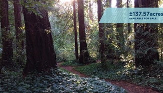 More details for VALUABLE TIMBERLAND, La Honda, CA - Land for Sale