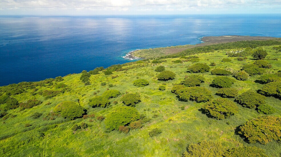 82-6159 Napoopoo Rd, Captain Cook, HI à vendre - Photo du bâtiment - Image 1 de 10