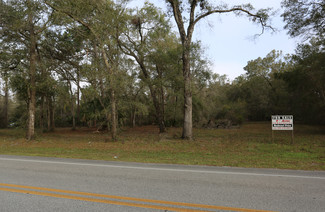 Plus de détails pour W Main St, Lake Helen, FL - Terrain à louer