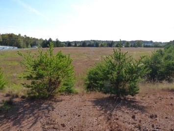 Commercial Dr, Forest City, NC à vendre - Photo principale - Image 1 de 6