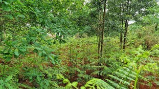More details for Rúa Escobeiro, 48, Mondariz - Land for Sale