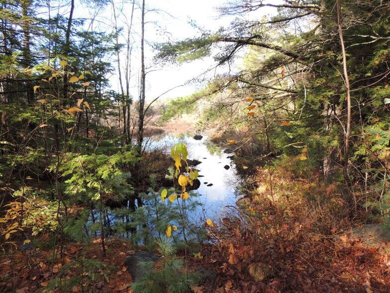 140 Chickville Rd, Ossipee, NH à vendre - Photo du bâtiment - Image 2 de 11