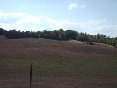 No Pone Valley Rd S, Decatur, TN for sale - Primary Photo - Image 1 of 1