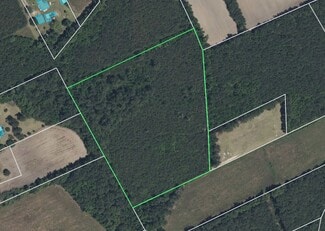 More details for Near 1491 Blacksmith Rd Rd, Bolton, NC - Land for Sale