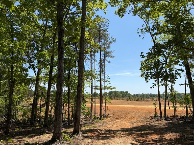 Hidden Harbor Road road, Lincolnton, GA à vendre - Photo du bâtiment - Image 2 de 45