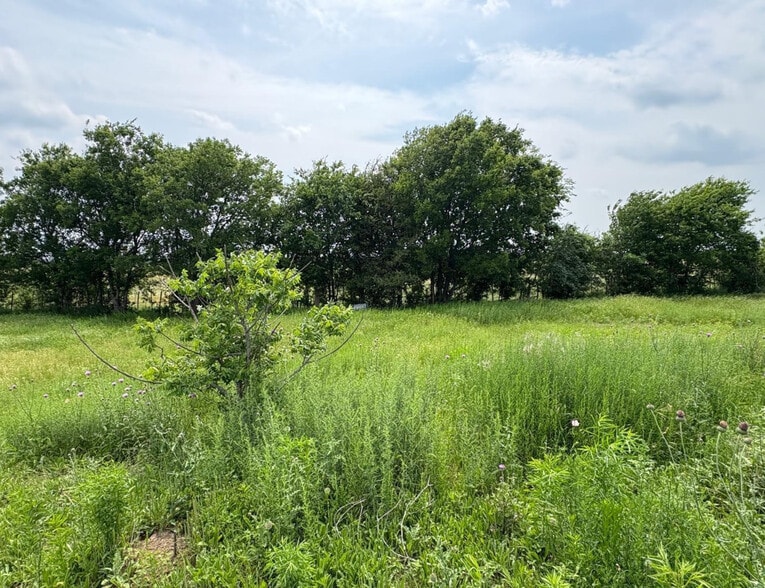 TBD County Road 215, Coolidge, TX for sale - Building Photo - Image 3 of 9