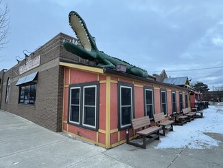 Plus de détails pour 404 Main St, Belleville, MI - Vente au détail à vendre