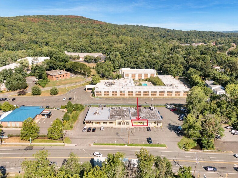 331 Route 303, Orangeburg, NY for lease - Building Photo - Image 3 of 11