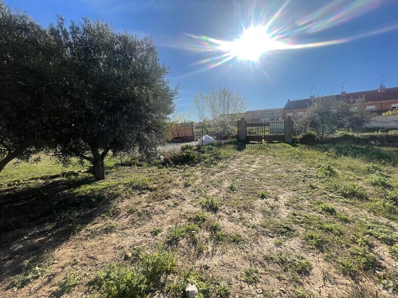 Terrain dans Santa Cruz del Retamar, Toledo à vendre - Photo du bâtiment - Image 2 de 18