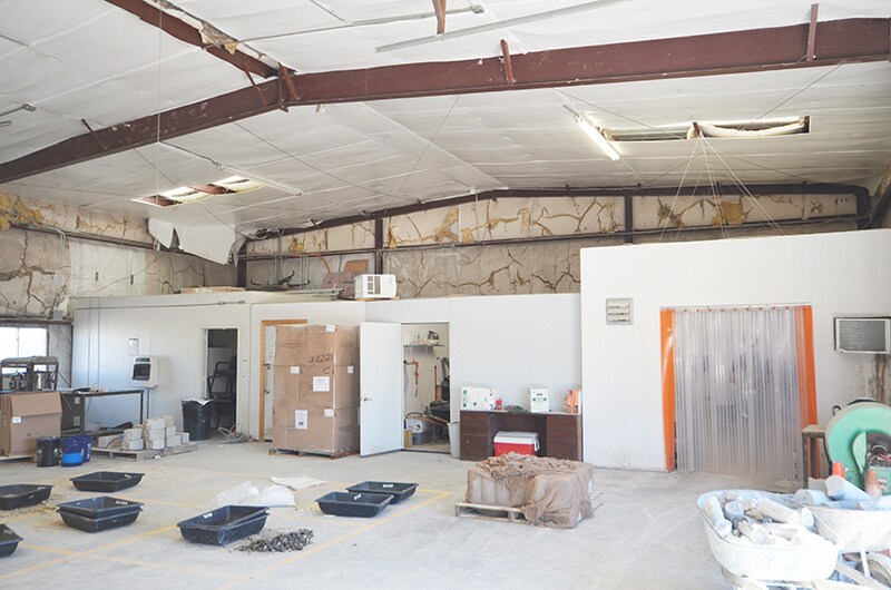 99 Dupree Dr, Buda, TX à louer - Photo du bâtiment - Image 2 de 8