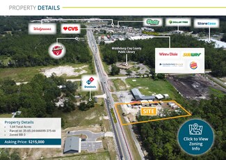 Plus de détails pour 4165 County Road 218, Middleburg, FL - Terrain à vendre