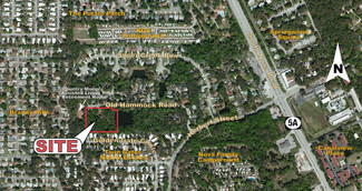 Plus de détails pour Old Hammock Rd & Herbert St, Port Orange, FL - Terrain à vendre