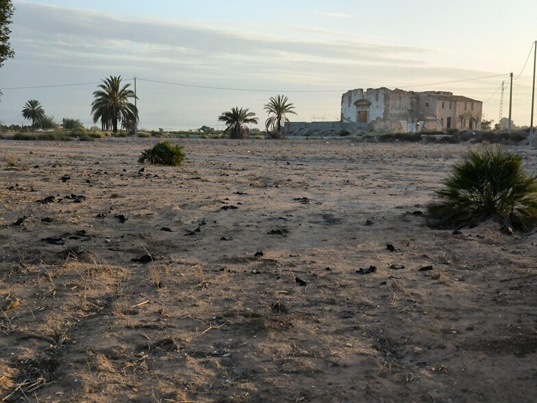 Terrain dans Elche, Alicante à vendre - Photo du bâtiment - Image 2 de 31