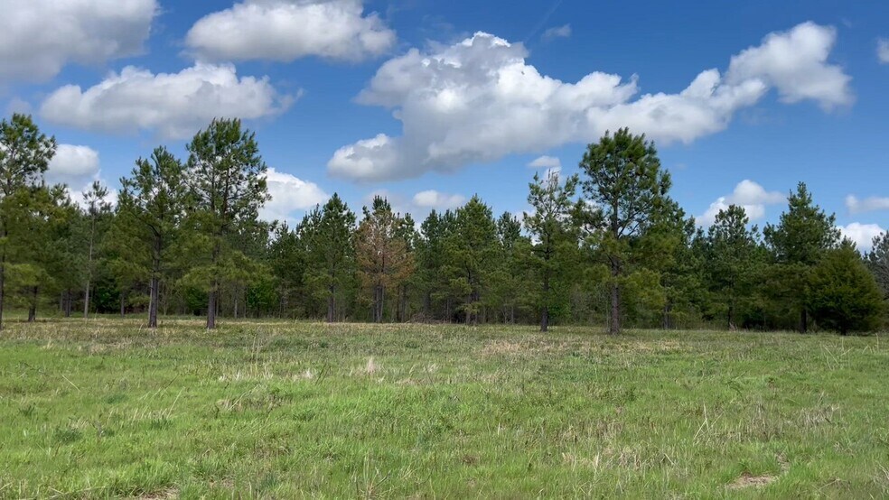 2200 Oweda Dr, Conover, NC à vendre - Vidéo sur l’inscription commerciale - Image 2 de 14