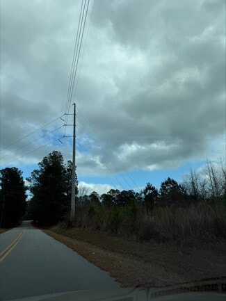 Plus de détails pour 2071 Leslie Mill Rd, Greensboro, GA - Terrain à vendre