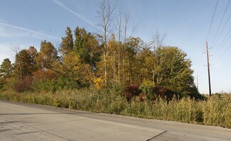 More details for Van Born Rd, Belleville, MI - Land for Sale