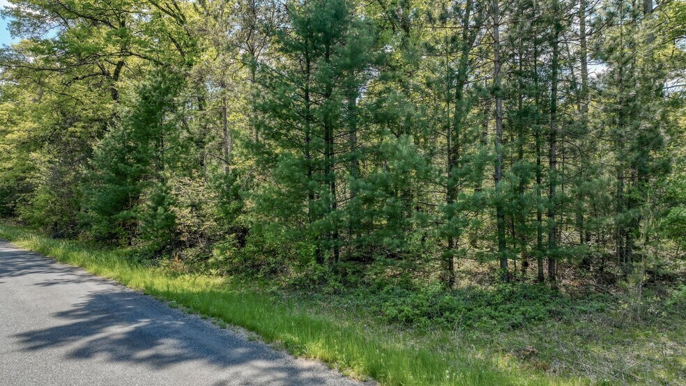 8667 Lakeside rd, Willard, WI for sale - Building Photo - Image 2 of 11