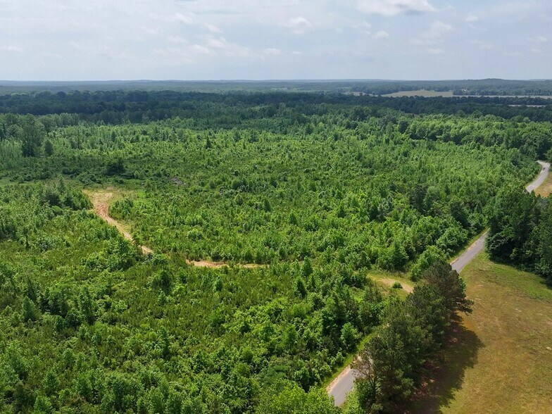 0 State Route 22a, Enville, TN à vendre - Aérien - Image 3 de 35