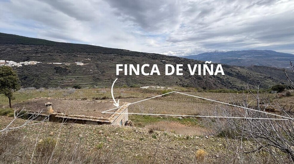 Diseminado Extrarradio, 14, Ugíjar, Granada for sale - Aerial - Image 1 of 20