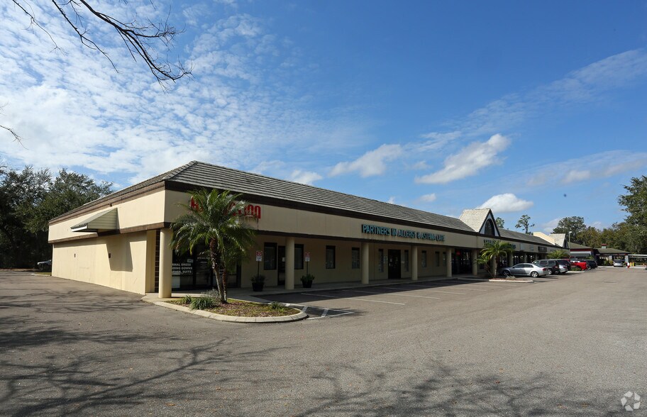 3634-3662 Lithia Pinecrest Rd, Valrico, FL à louer - Photo principale - Image 2 de 6