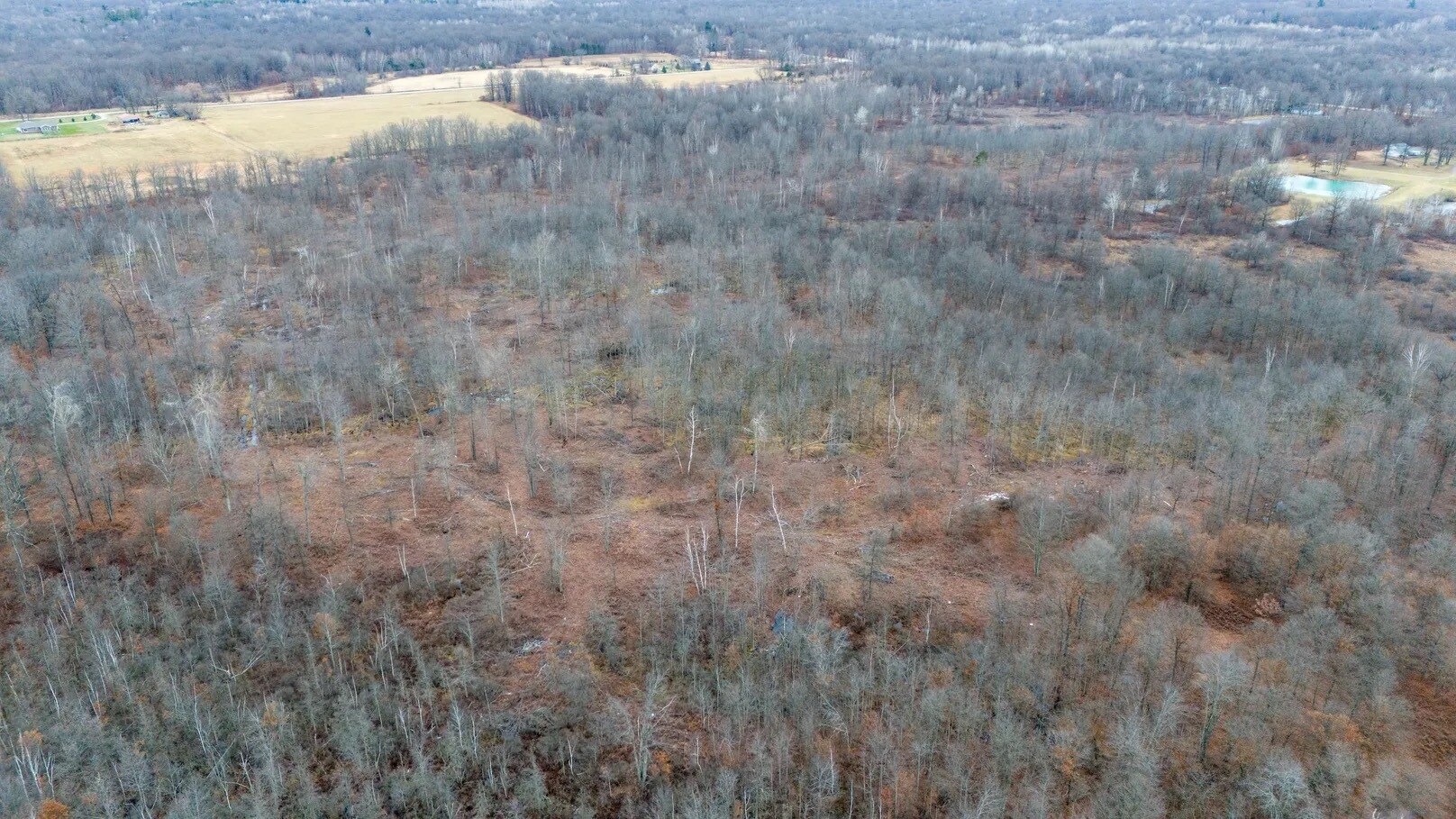 2717 N 11 Mile Rd, Sanford, MI à vendre Photo principale- Image 1 de 1