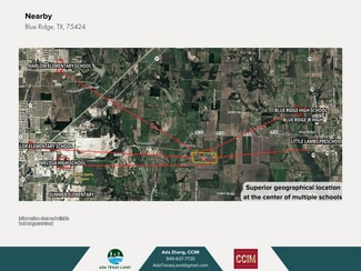 More details for Blue Ridge, Blue Ridge, TX - Land for Sale