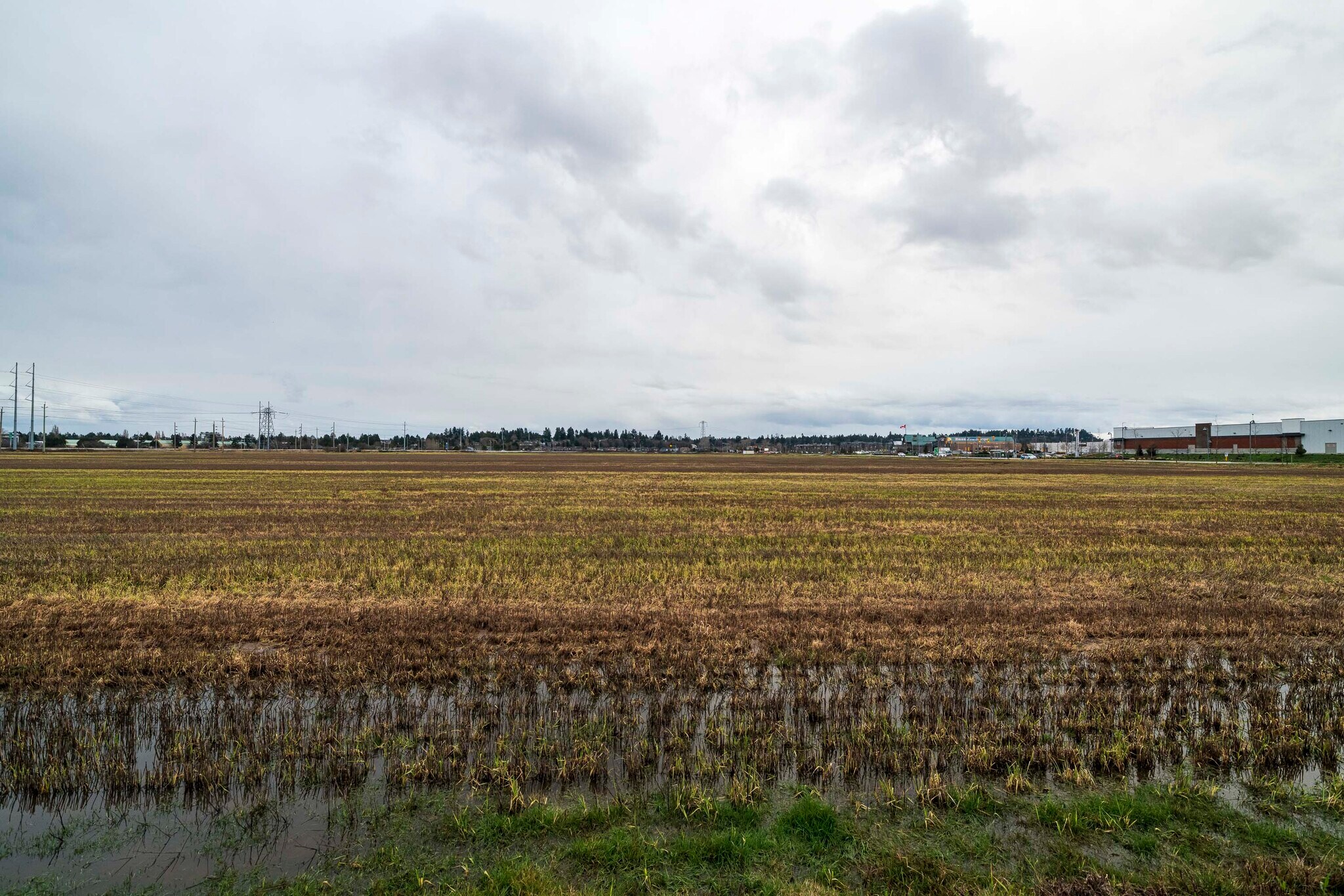 2150-2250 52nd St, Delta, BC à vendre Photo du bâtiment- Image 1 de 1