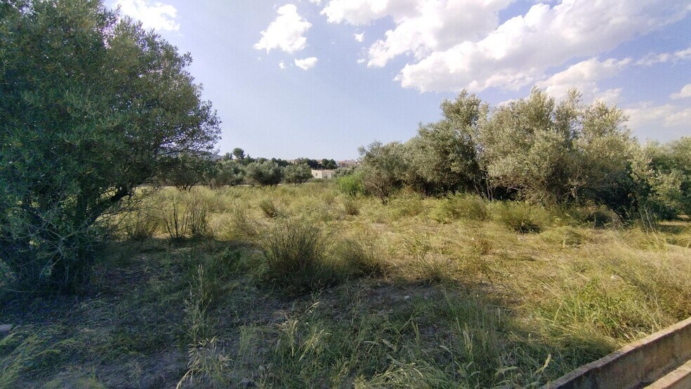 Land in Calasparra, Murcia for sale - Building Photo - Image 2 of 7