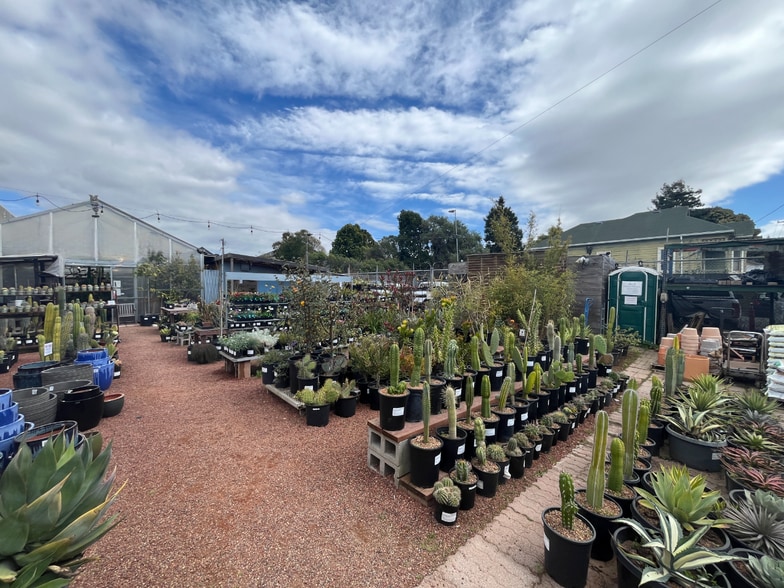 1509 4th St, Berkeley, CA à vendre - Photo du bâtiment - Image 3 de 8