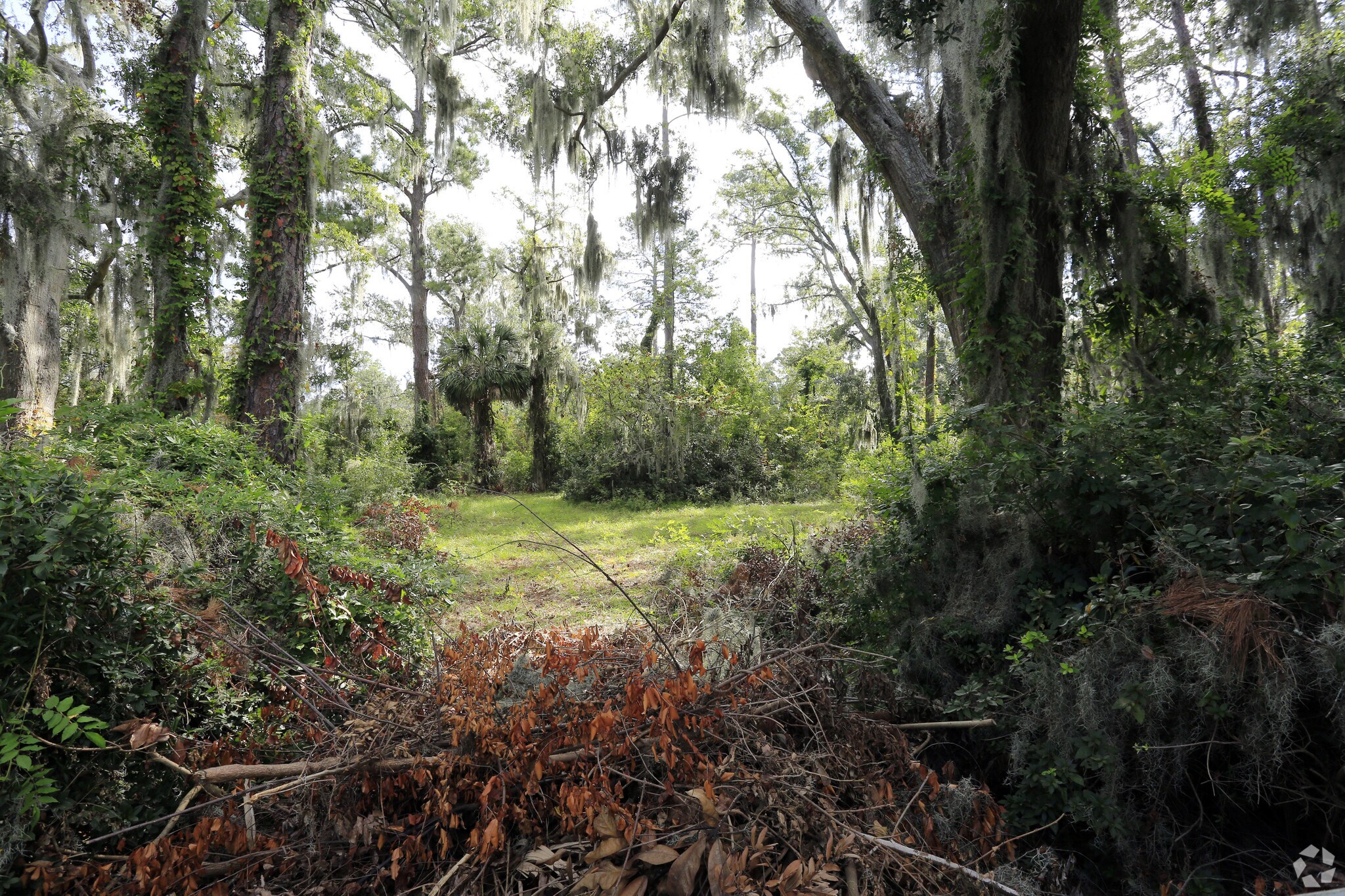 10602 White Bluff Rd, Savannah, GA for sale Primary Photo- Image 1 of 4