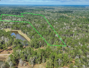 Plus de détails pour 2090 & FM 1485, Conroe, TX - Terrain à vendre