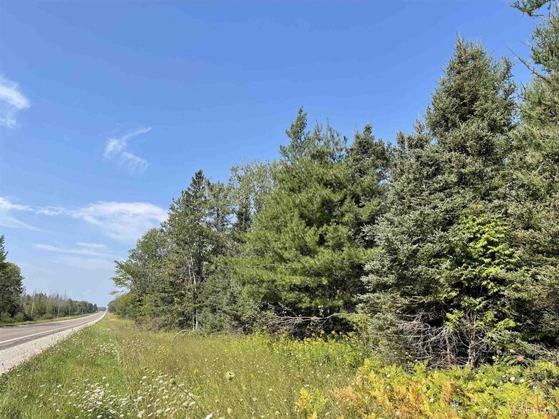 80 Acres on M-94, Skandia, MI for sale - Primary Photo - Image 1 of 9