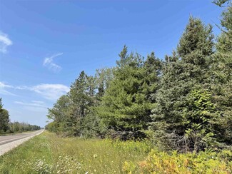 Plus de détails pour 80 Acres on M-94, Skandia, MI - Terrain à vendre