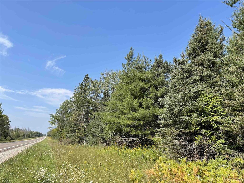 80 Acres on M-94, Skandia, MI for sale Primary Photo- Image 1 of 10