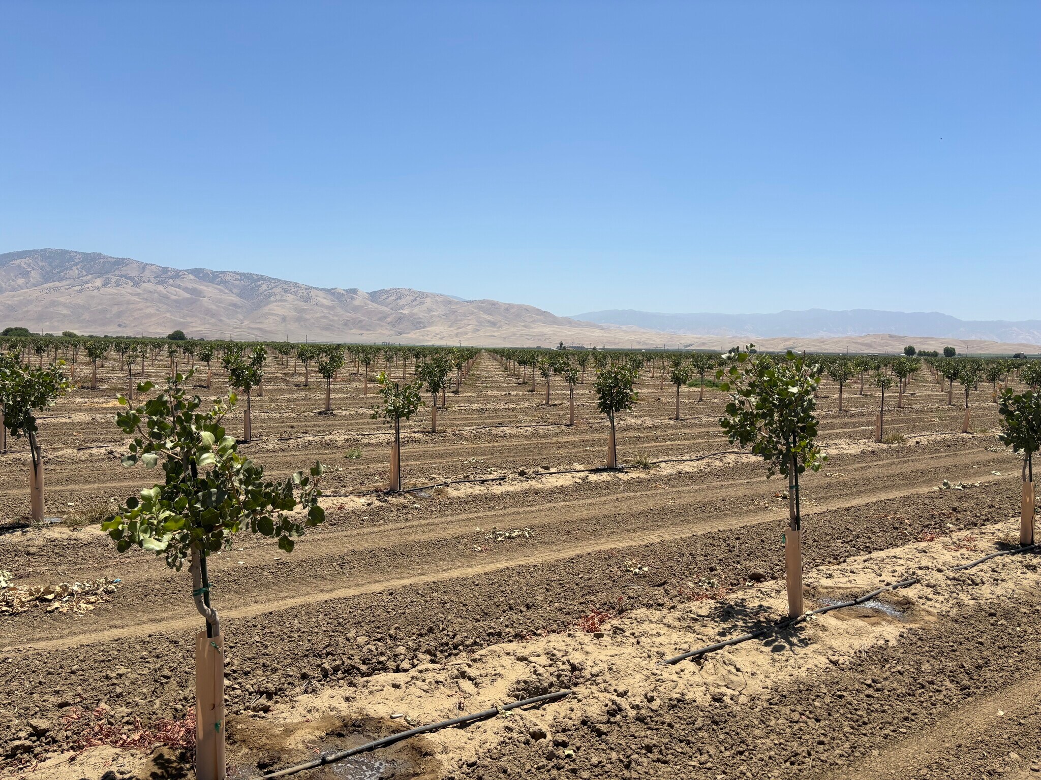 4531 Rancho Road, Arvin, CA à vendre Autre- Image 1 de 1