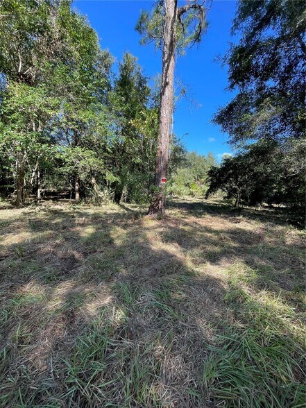 2330 E University Ave, Gainesville, FL à vendre - Autre - Image 3 de 8