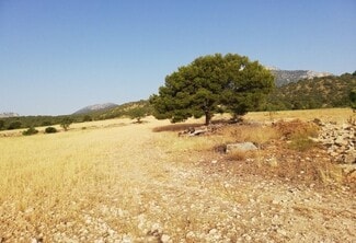 More details for Aguica, 80, Lorca - Land for Sale