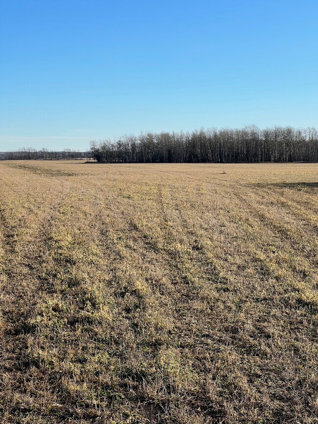 Plus de détails pour NW-28-71-5-W6, Grande Prairie, AB - Terrain à vendre