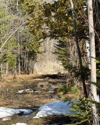 More details for Witt Rd, Alpena, MI - Land for Sale