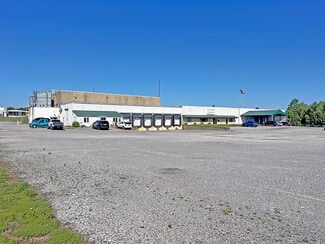 More details for 7945 Old Highway 51 N, Cobden, IL - Industrial for Sale