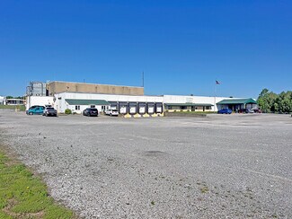 Plus de détails pour 7945 Old Highway 51 N, Cobden, IL - Industriel à vendre