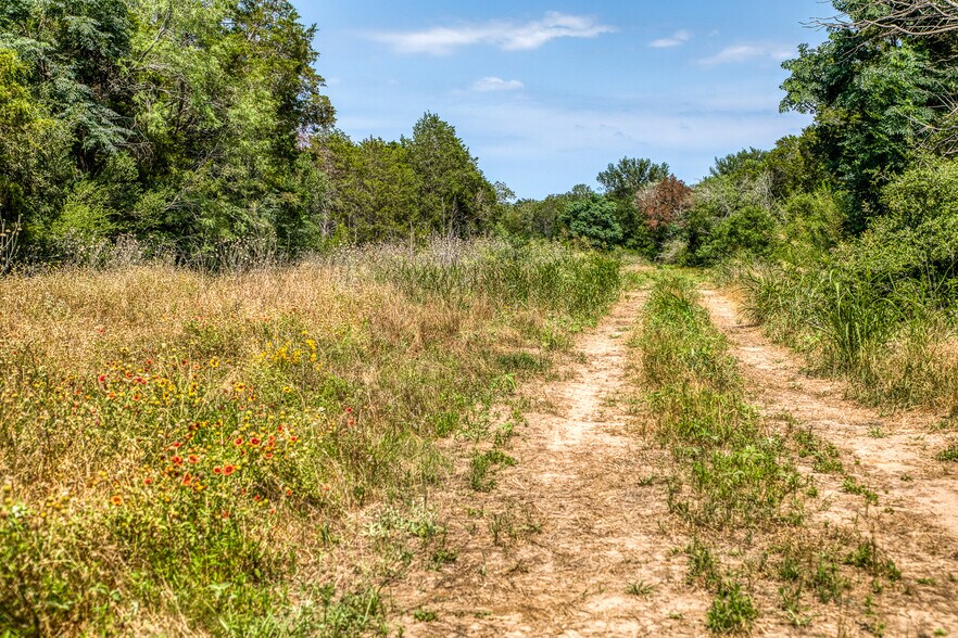 TBD (+/-88 Acres) Smith Rd, Bastrop, TX for sale - Other - Image 2 of 46