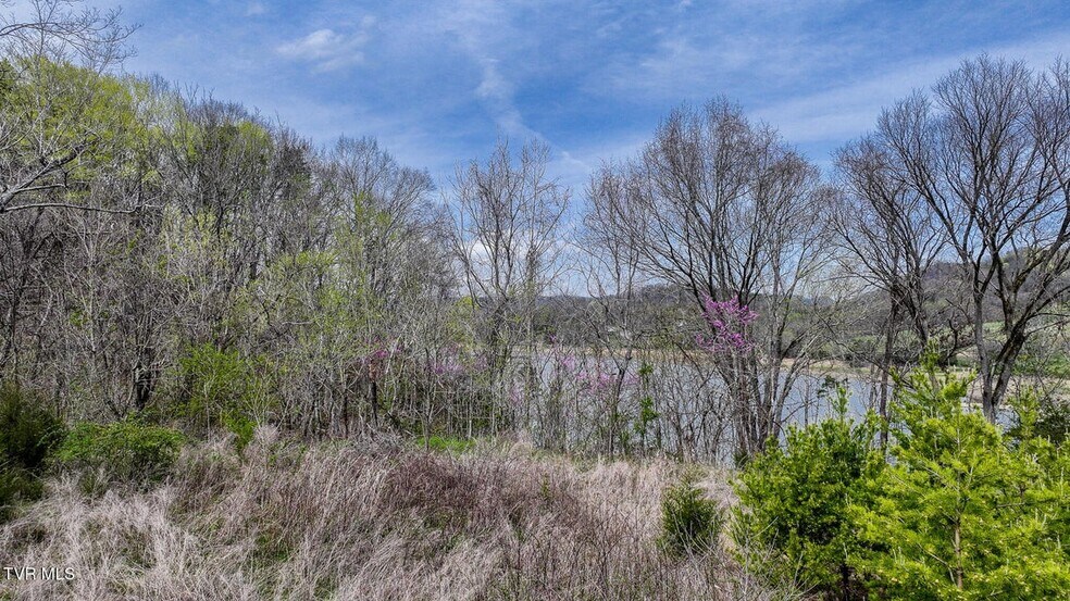 340 Melinda Ferry rd, Rogersville, TN à vendre - Aérien - Image 2 de 10